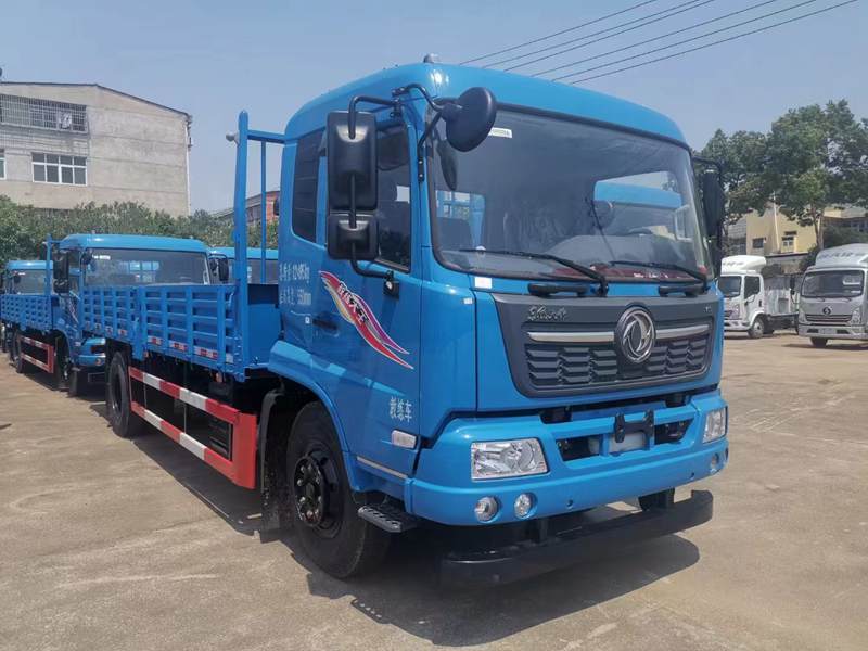 東風(fēng)天錦教練車